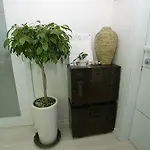 Ro&Jo House