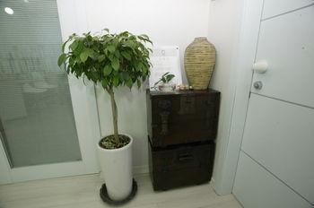 Hotel Ro&jo House